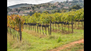 Agriturismo Podere Ficareto